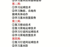 篮球基础20天训练计划